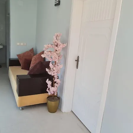 القمة للشقق المفروشة Al Bahah Exterior photo